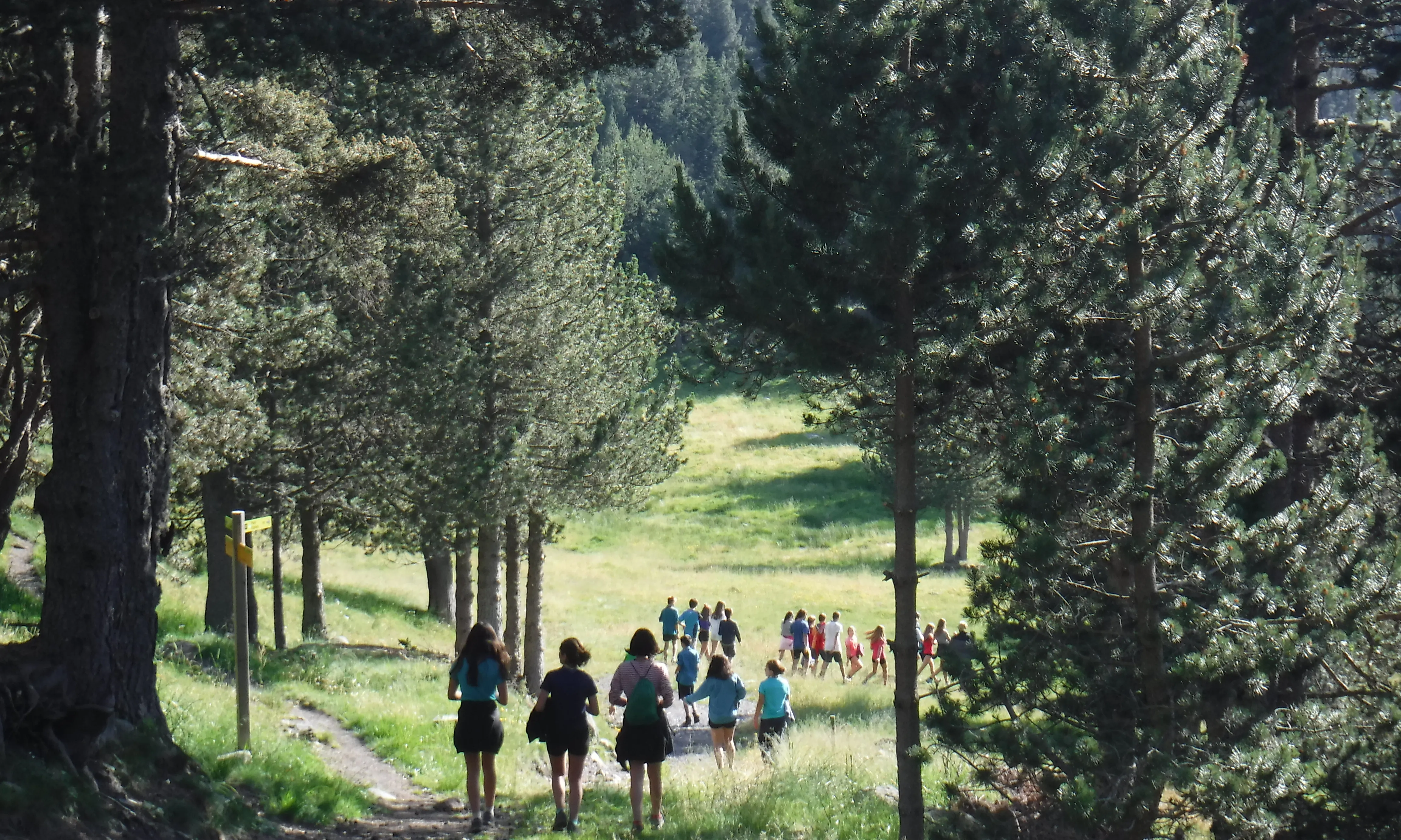 Campaments de RiNG de l'AEiG Erol