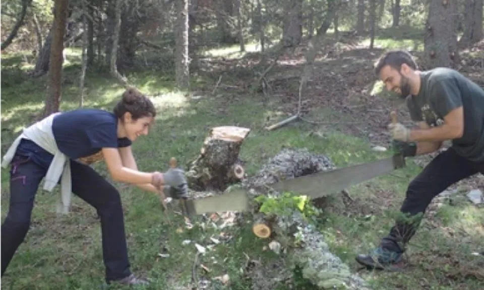 L'associació Boscos de Muntanya organitza estades per a persones adultes als boscos del Pirineu durant tot l'estiu