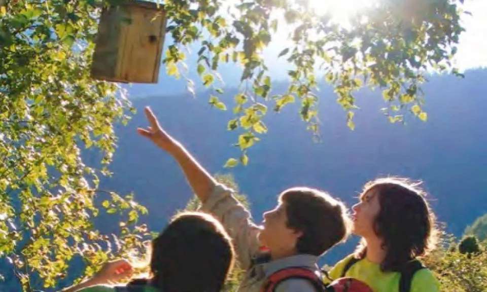 La Fundació Catalunya La Pedrera organitza campanents i estades de natura per a diversors perfils d'edats 