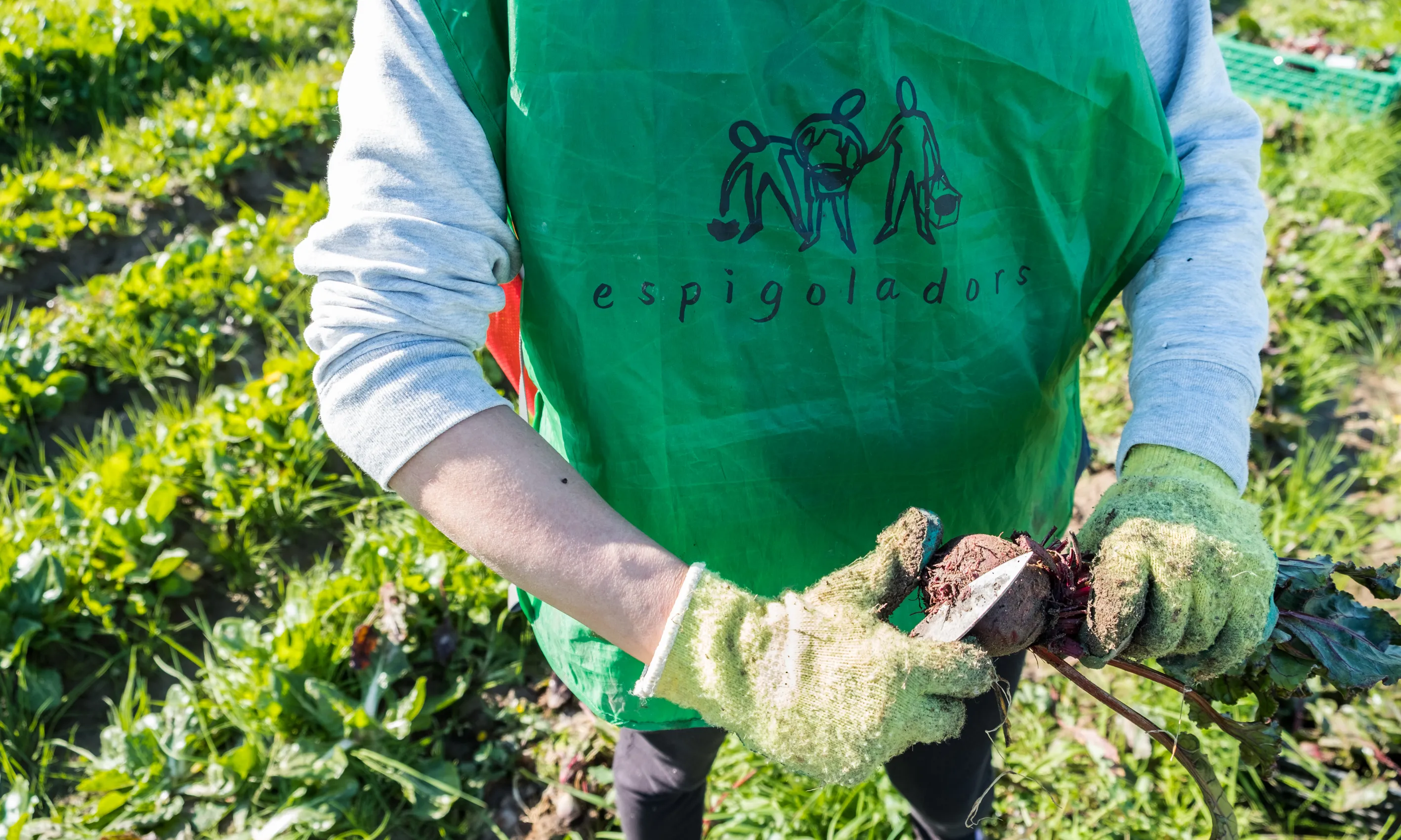 La Fundació Espigoladors és una empresa social que treballa per l'aprofitament alimentari d'una manera transformadora, inclusiva, innovadora, participativa i sostenible. Font: Glòria Solans.