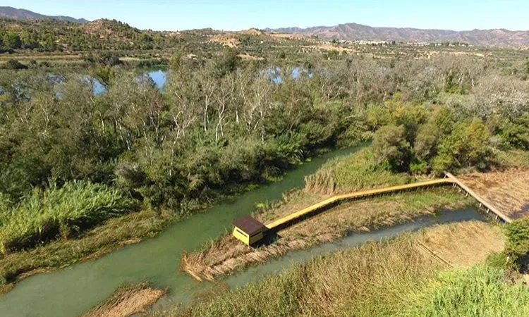 La producció d'oli ecològic, o recentment de cervesa artesana, són activitats econòmica que repercuteix en l'entorn social del territori i en la conservació de l'espai.