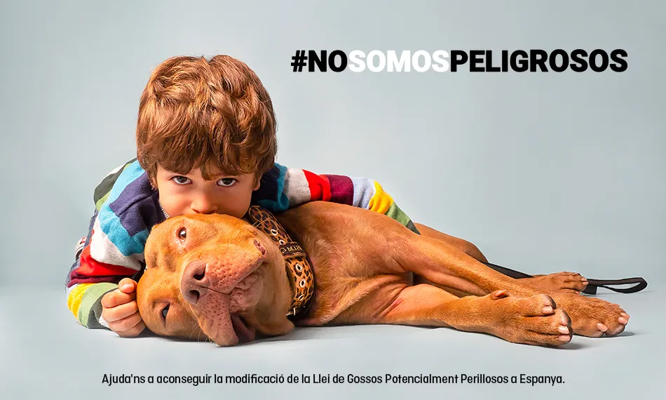 La campanya #NoSomosPeligrosos estarà en marxa tot l'estiu per recaptar el màxim de firmes en contra de la llei actual de gossos perillosos. Font: FAADA.