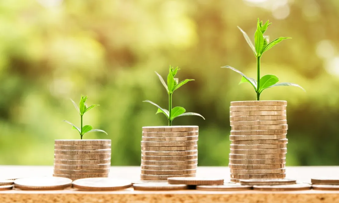 Unes plantes germinant a partir de tres piles de monedes
