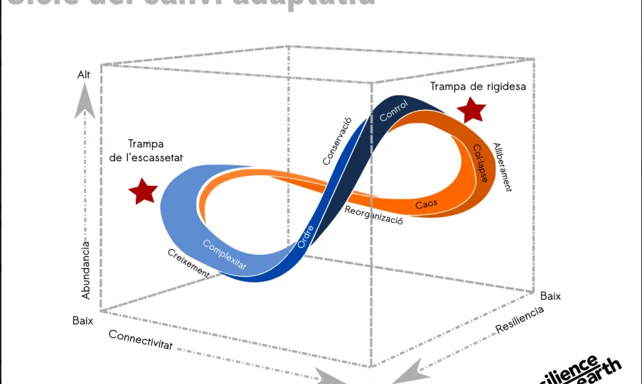 El gràfic recull les fases del cicle de la resiliència