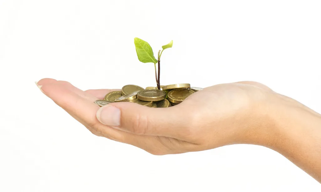 Una mà sosté un grapat de monedes amb una petitat planta