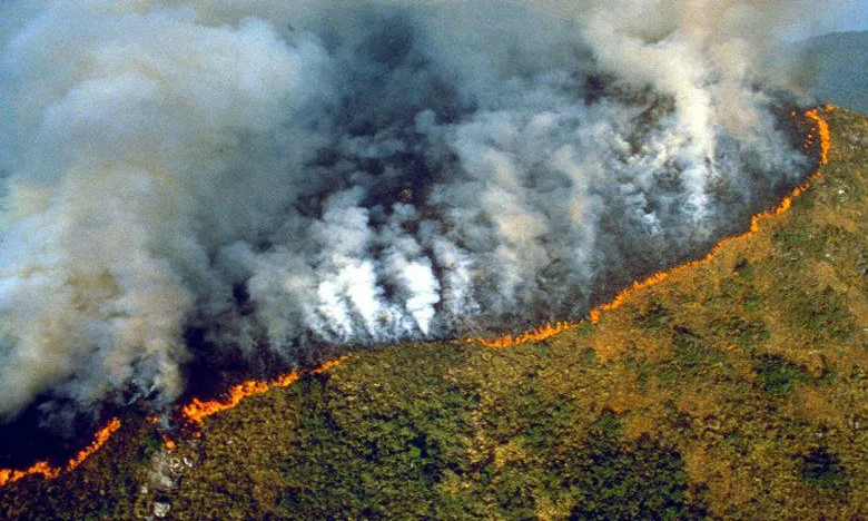 Els incendis ja porten actius des del 6 d'agost. Font: El Desconcierto.