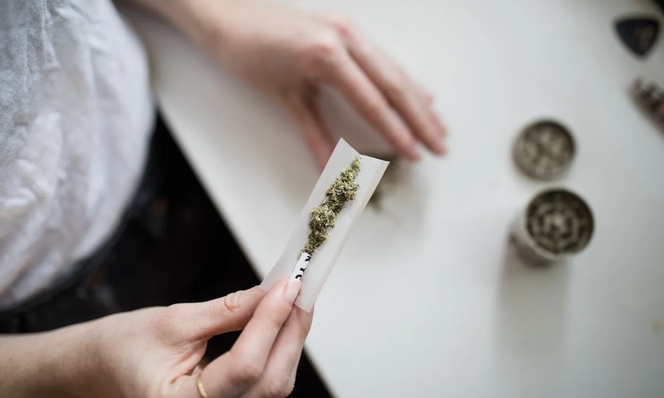En el jovent, el consum que predomina és el cànnabis amb un 72’2%. Font: Unsplash.