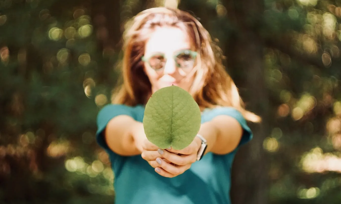 El curs consta d’un total de 200 hores i està estructurat en 4 blocs. Font: Unsplash.