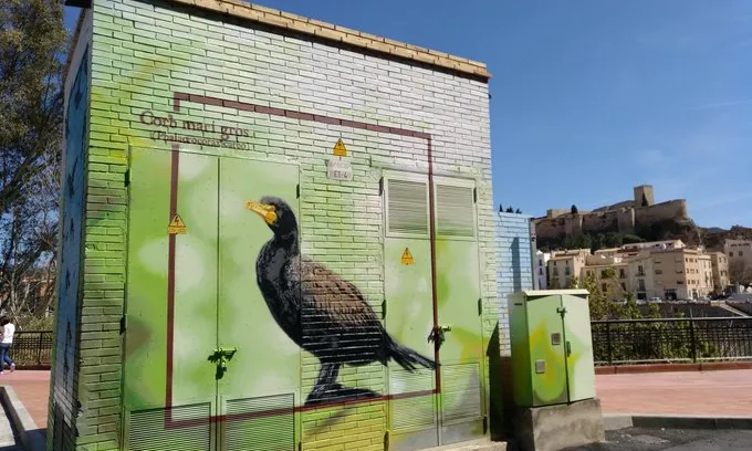 Graffiti que representen aus. Una de les propostes innovadores del Delta Birding Festival d'enguany