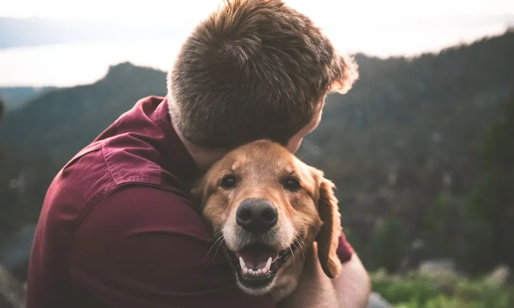 Per cada adopció, es produeixen dos abandonaments. Font: Unsplash.