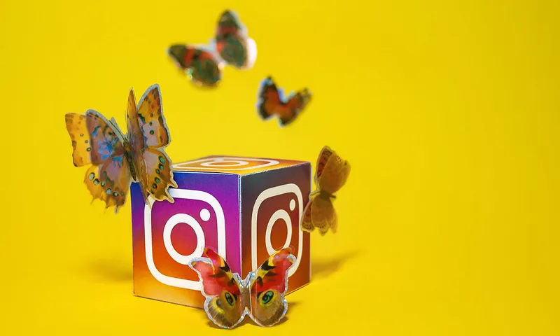 Imatge de un cub amb el logotip de Instagram i unes papallones. Blogtrepreneur. Llicència d'ús CC BY 2.0