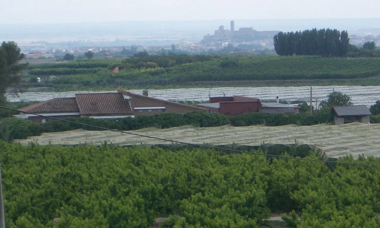Imatge panoràmica de l'Horta de Lleida