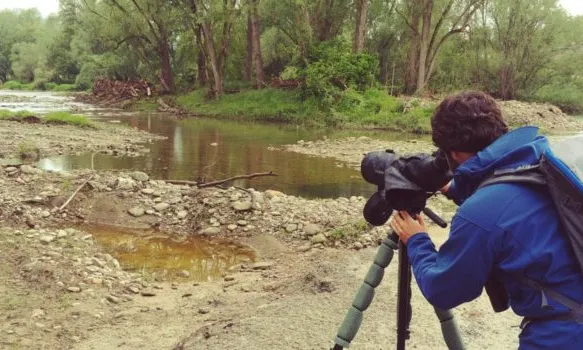 Persona fent observació de fauna a través d'uns primsàtics