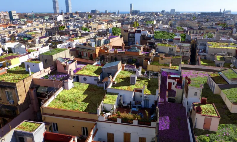 'Terrats verds' és una iniciativa innovadora als terrats de Barcelona per omplir-los d'horts urbans.