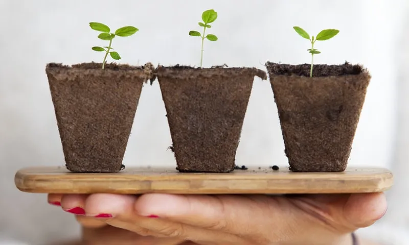 L’estudi remarca que l’opció més habitual per conèixer les finances ètiques es dona per iniciativa pròpia. Font: Unsplash.