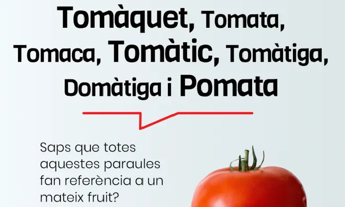 El català gaudeix d’una diversitat de parlars diferents que l’enriqueix i el fa encara més fort. Font: Plataforma per la Llengua.