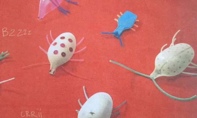 ADENC organitza un taller de decoració nadalenca amb la temàtica de la biodiversitat.