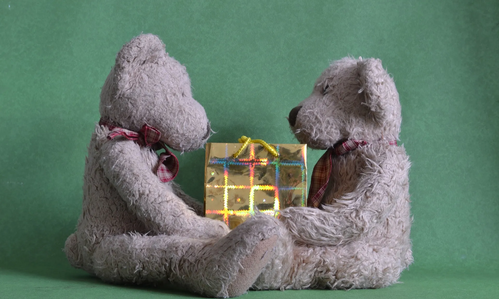 Ossets de peluix, un davant de l'altre, donant-se un regal