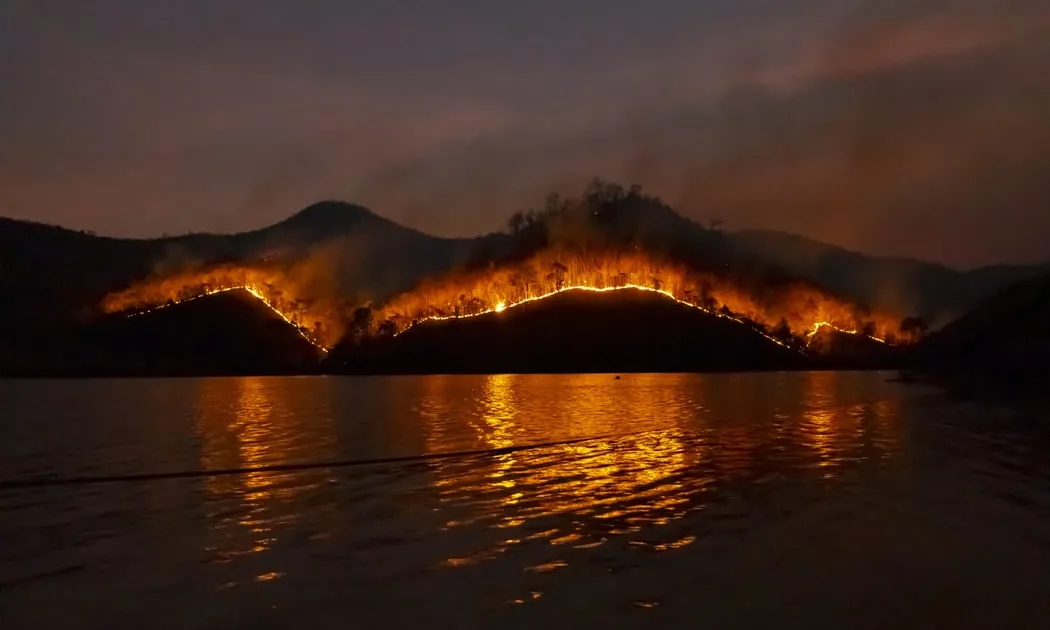 Els focs ja han arrassat amb 10 milions d'hectàrees, sent Nova Gales del Sur una de les zones més afectades. Font: Unsplash.