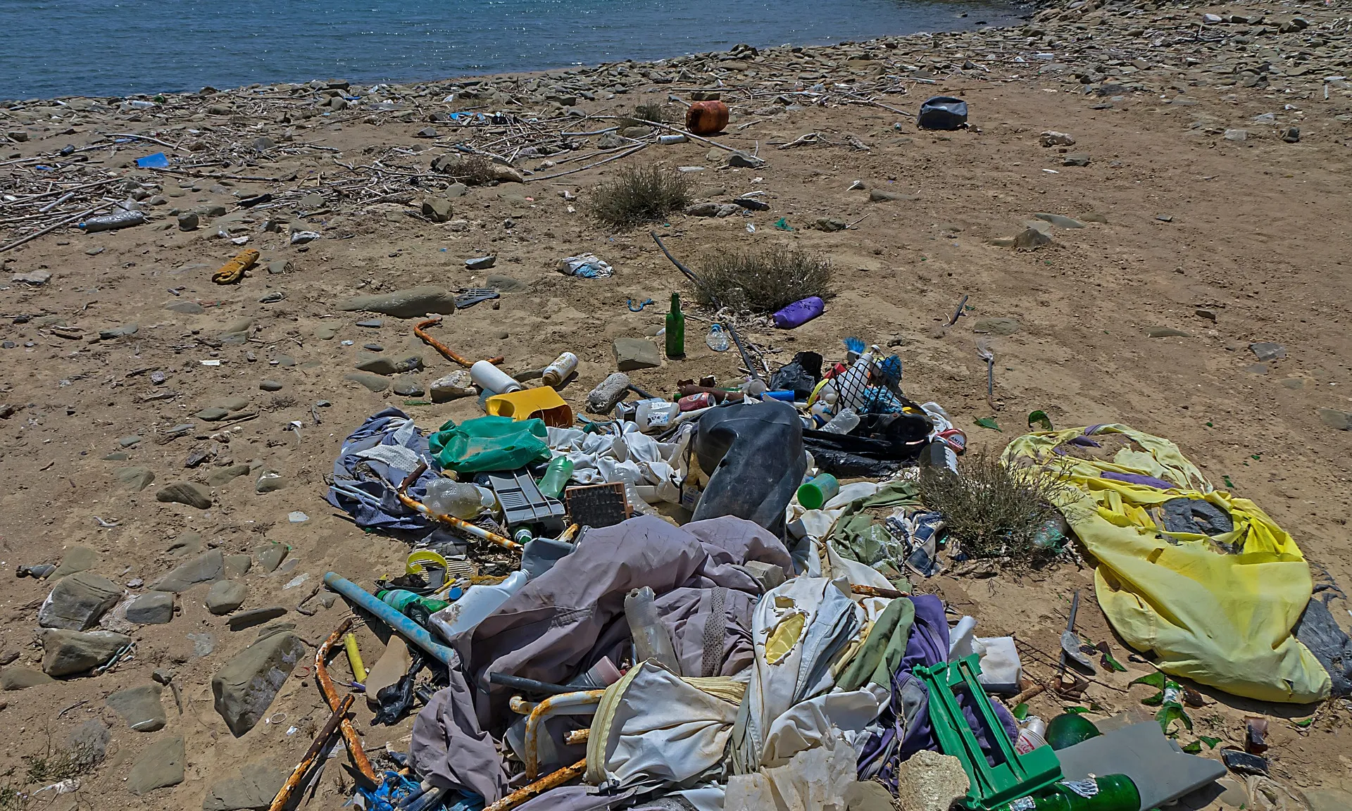 El temporal ha expulsat la brossa que hi havia al mar a la sorra de les platges.
