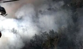 Subvencions a actuacions en matèria forestal i de prevenció d'incendis forestals 2020