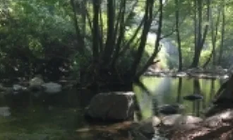Subvencions per a projectes dins del Parc Natural i Reserva de la Biosfera del Montseny 2020