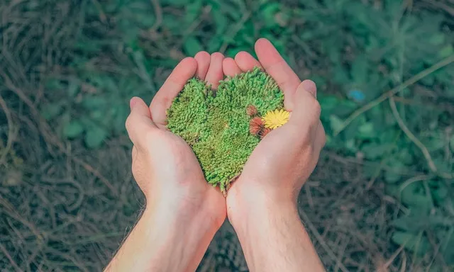 4 activitats gratuïtes amb motiu del Dia Mundial de l'Educació Ambiental