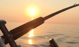 Ajuts que estableix el Fons Europeu Marítim i de la Pesca 2020
