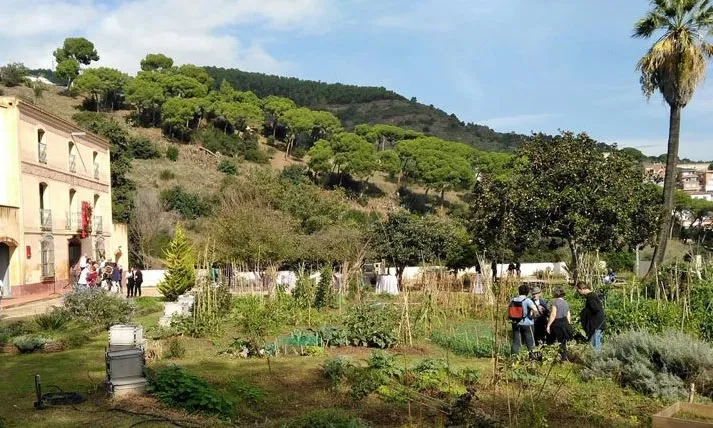 Menjadora d'ocells al Centre de Natura de Can Soler