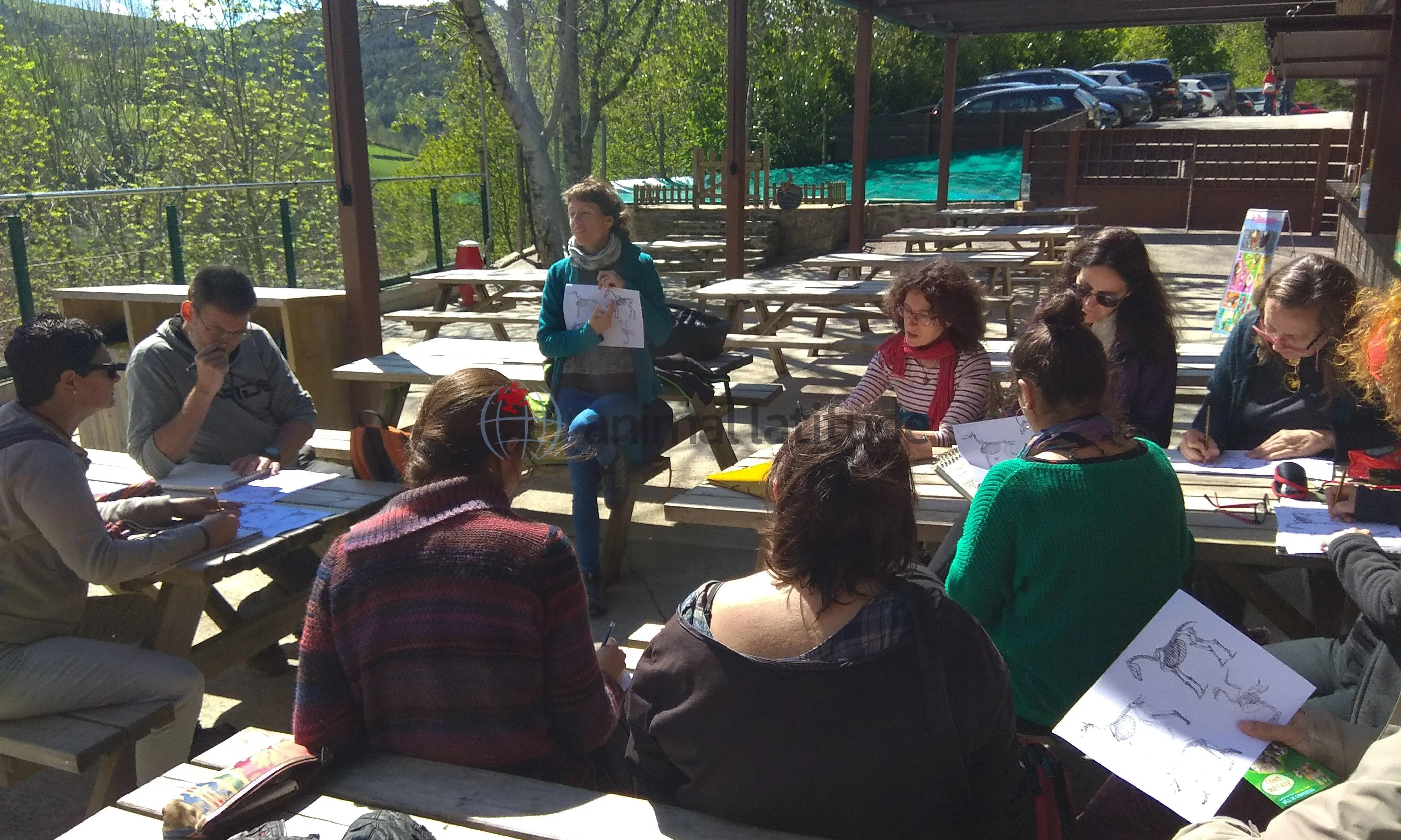 Il·lustració científica com a eina en l'educació ambiental, amb Blanca Martí