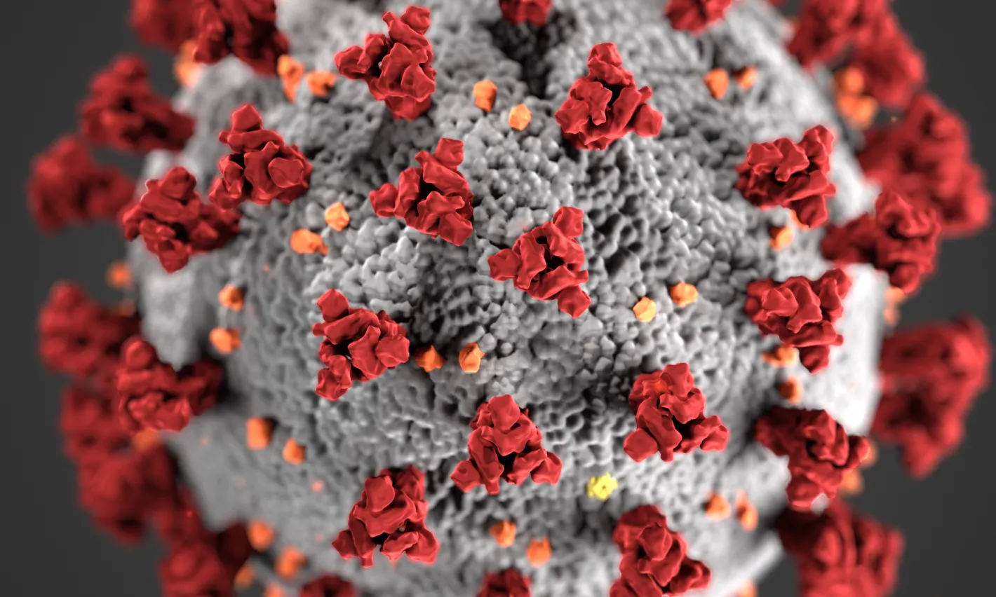 El coronavirus també afecta al teixit associatiu, un sector principalment basat en l'atenció directa.