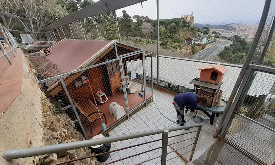 Ara, només els treballadors tenen accés a les instal·lacions. Font: Lliga de Protecció d'Animals i Plantes de Barcelona