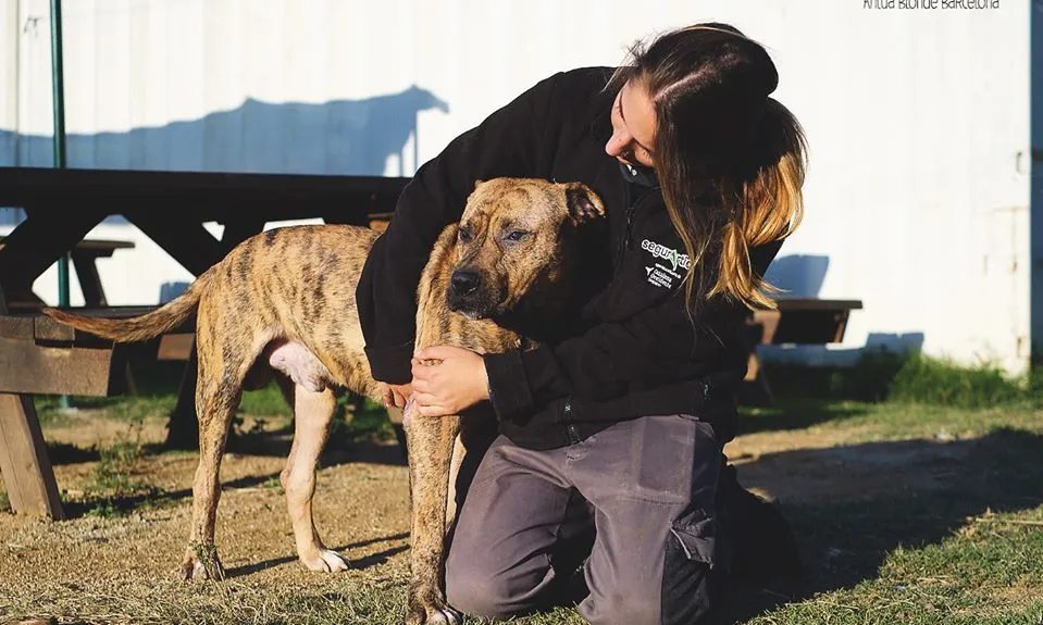 Voluntària de la Protectora de Mataró. Font: Societat Protectora d'Animals de Mataró.