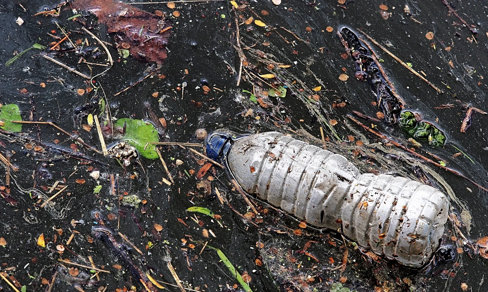 Plastic mar ocea 