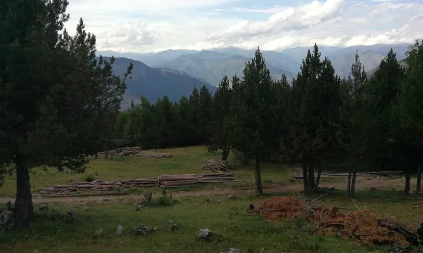 Estada a l'entorn del Massís de l'Orri.