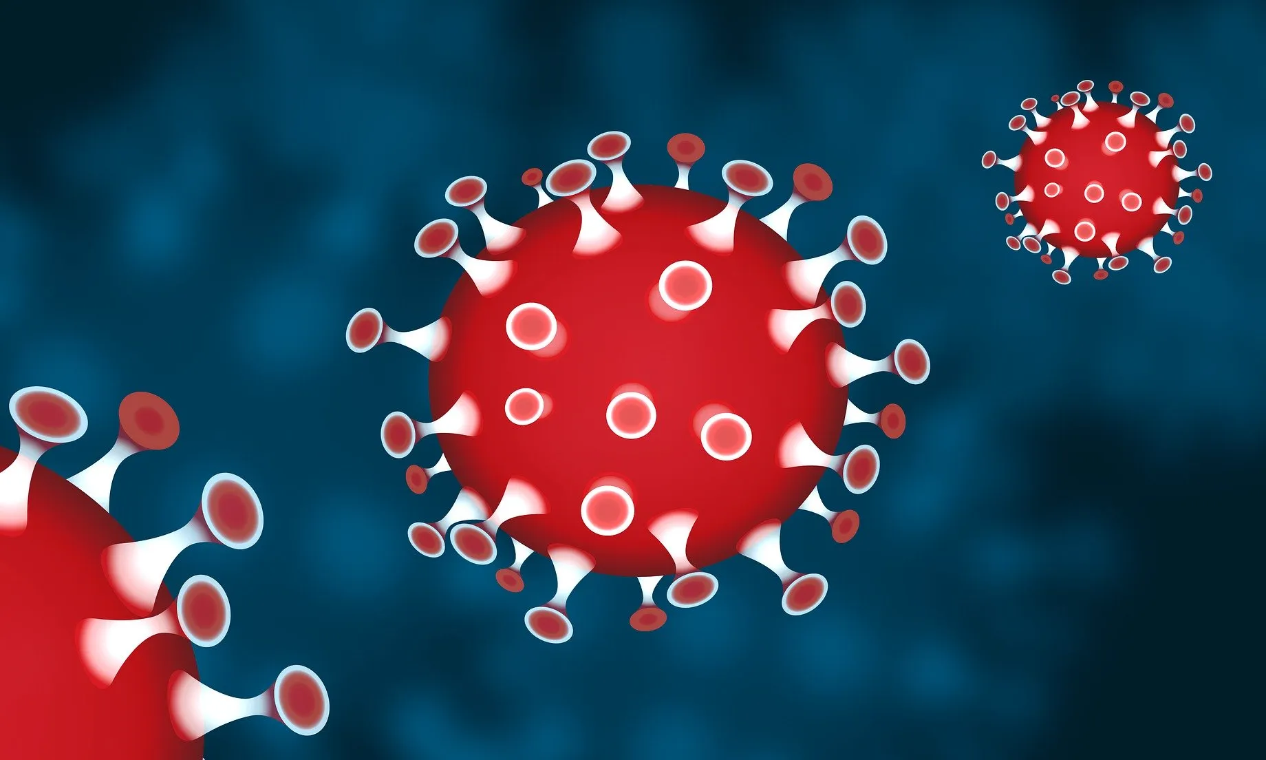 El virus es trasmet per contacte directe amb les secrecions respiratòries d’una persona malalta.