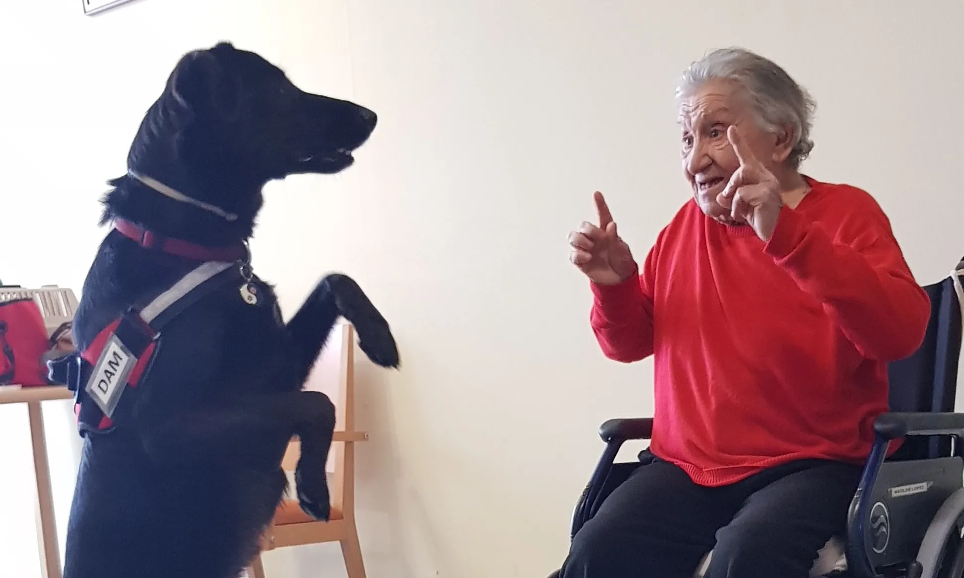 L'entitat treballa amb persones grans a través de residències geriàtriques. Font: Associació Mortiz.