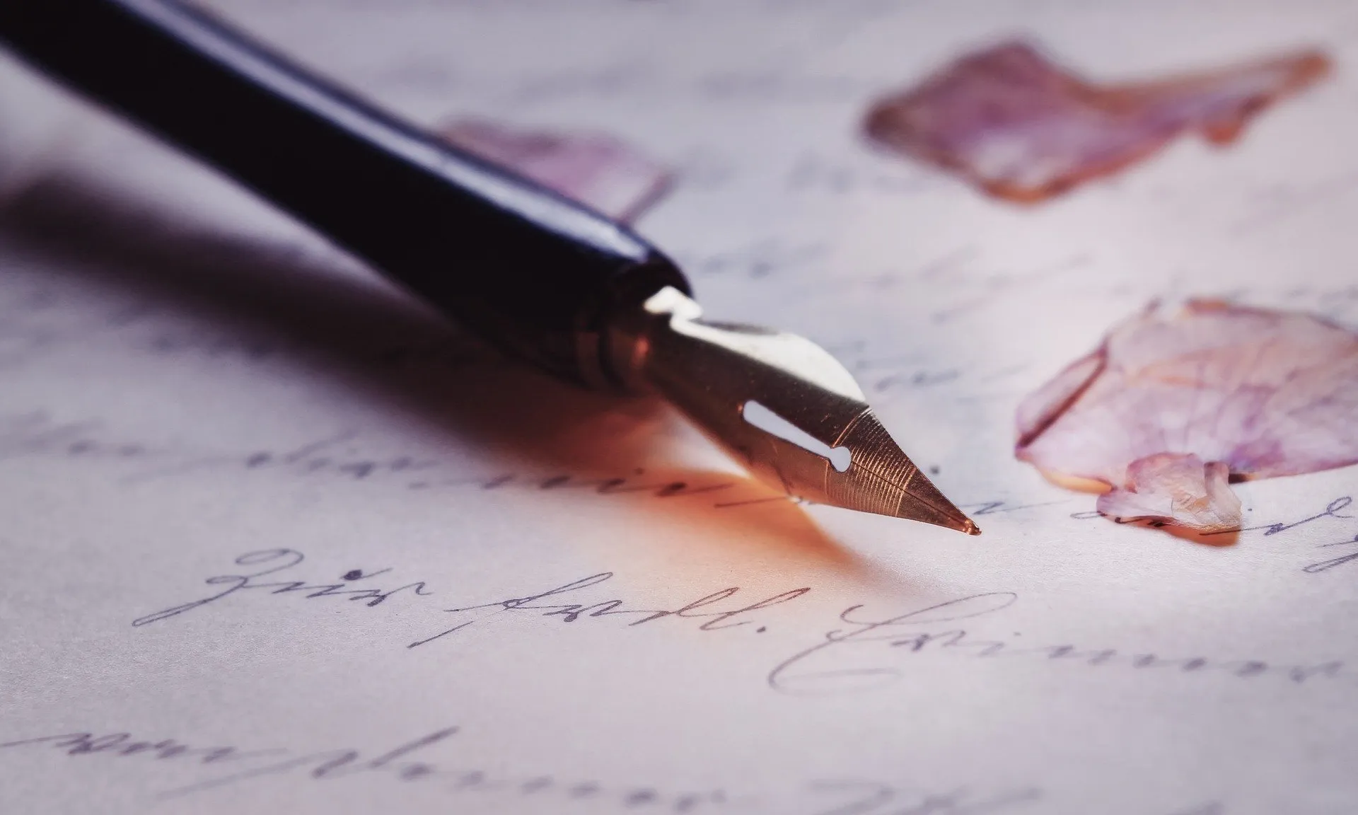 La poesia també s'adapta a les noves tecnologies i al confinament.