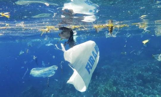 A Plastic Ocean (Craig Leeson, 2016)