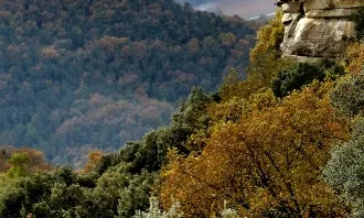 Subvencions per a les entitats culturals a l'àmbit de l'Espai Guilleries - Savassona 2020