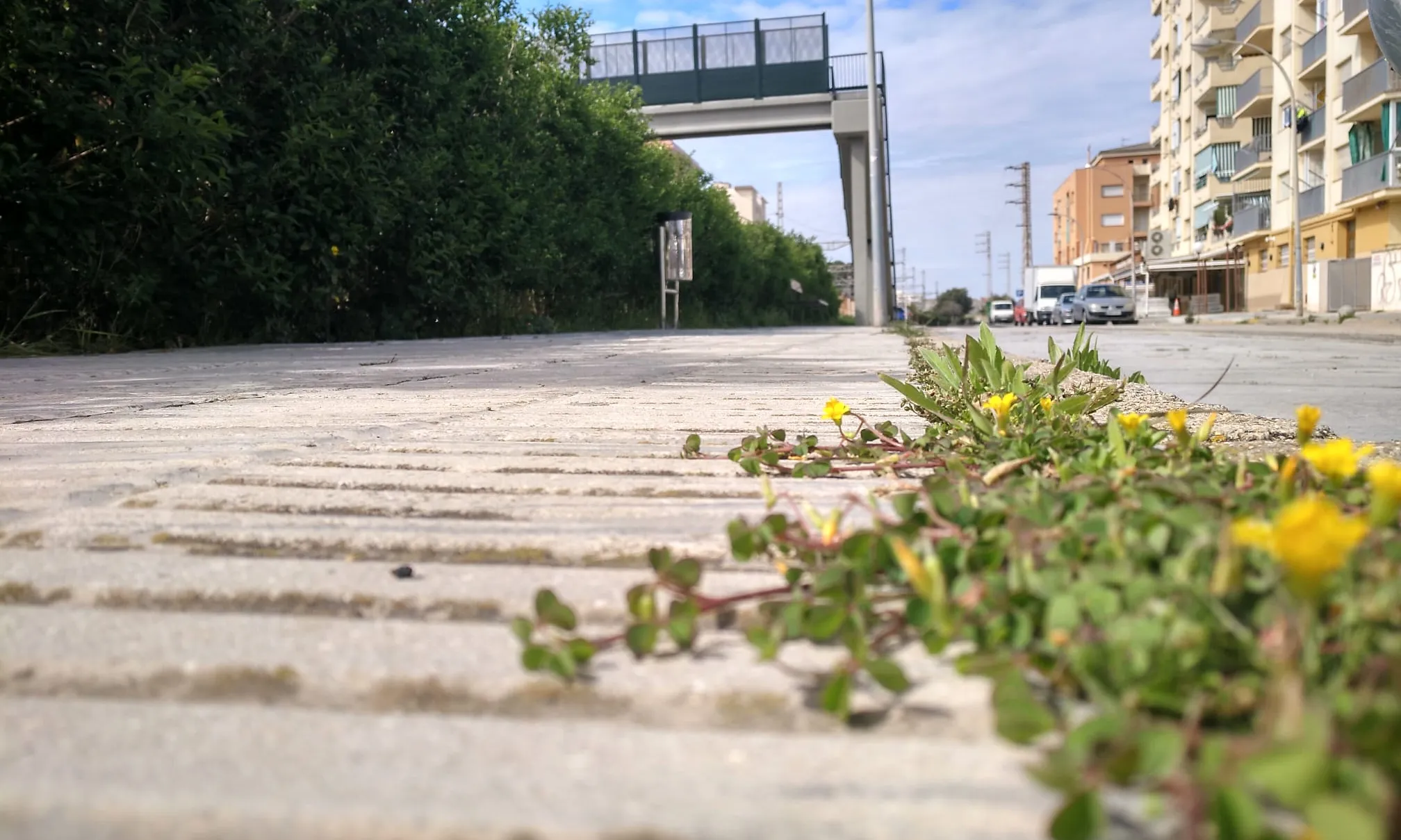Nautra salvatge originada per l'aturada de l'activitat humana.