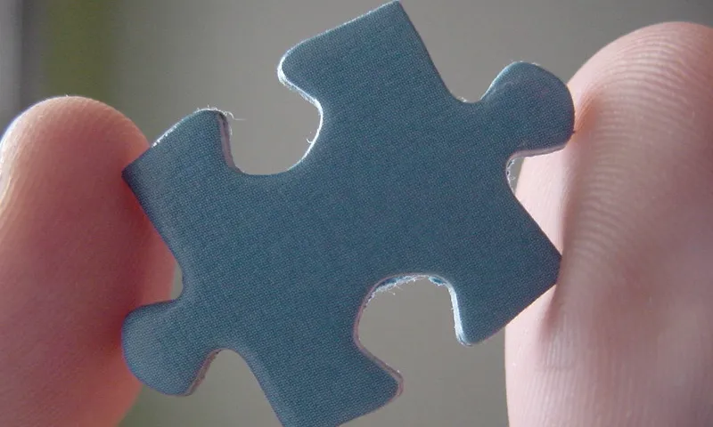 Fotografia d'una peça de puzzle. Imatge de Olga Berrios. Llicència d'ús CC BY 2.0