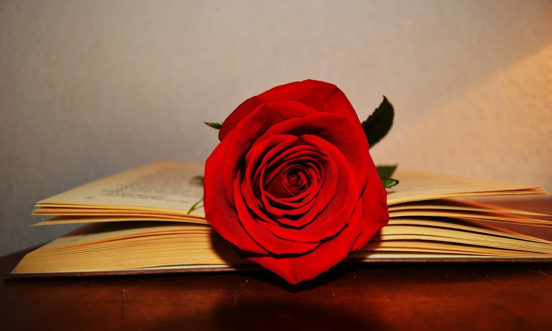 Aquest Sant Jordi el passarem confinats a les nostres llars a causa del Covid-19.
