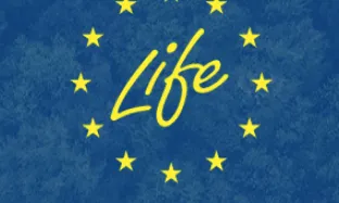 Convocatòria de propostes - Programa Life 2020 - Subprograma Medi Ambient