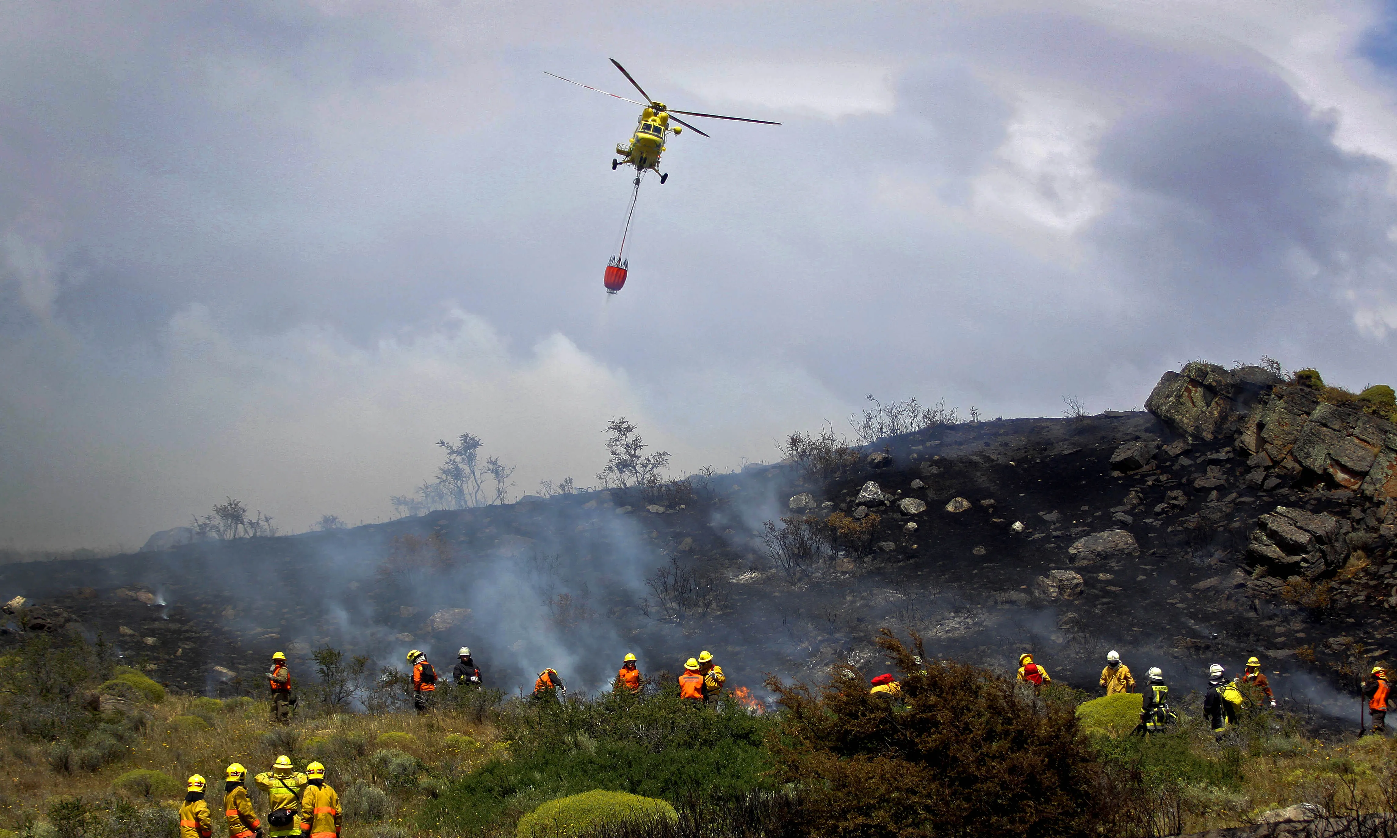 Ajuts per al foment de les actuacions de les agrupacions de defensa forestal (ADF) 2020 