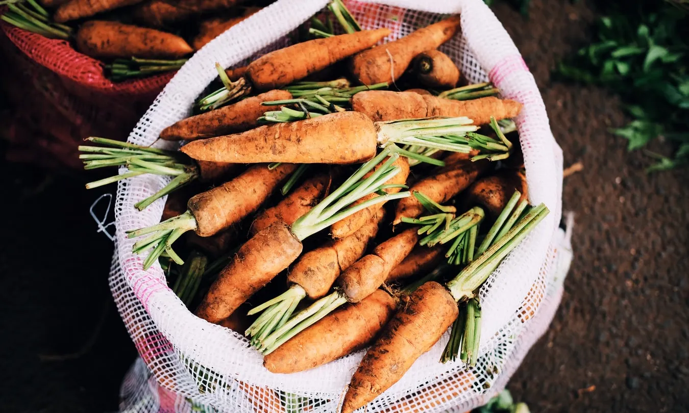 Sota el lema #ElMenjarNoEsLlença el premi té l’objectiu d’empoderar a infants i joves a reflexionar sobre la problemàtica de les pèrdues i el malbaratament alimentari. Font: Unsplash.