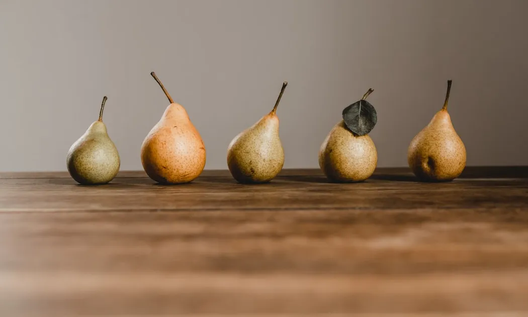 El dissabte 25 d’abril la Fundació Espigoladors organitza la Festa del Premi #elmenjarnoesllença. Font: Unsplash.
