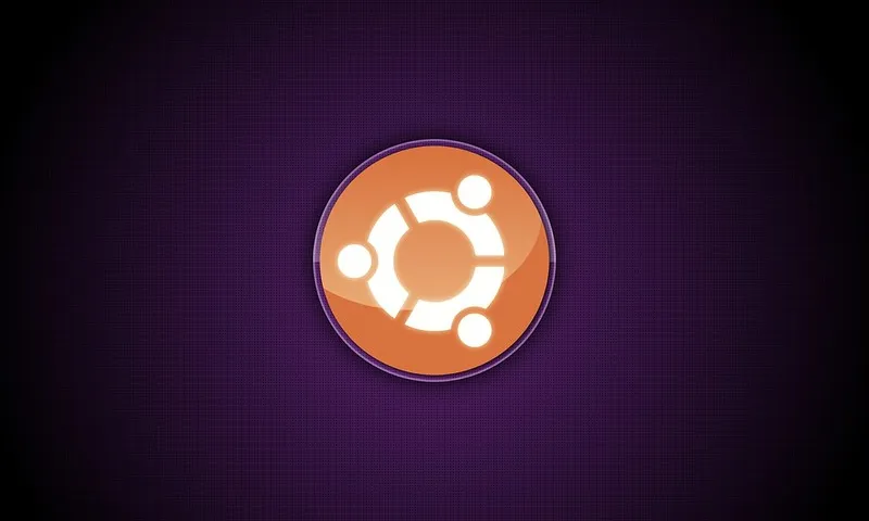 Captura de pantalla d'un ordinador iniciant-se amb el sistema operatiu Ubuntu. Imatge de Peter McBaggins. Llicència d'ús CC BY 2.0