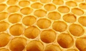 Ajuts destinats a la millora de la producció i la comercialització dels productes de l'apicultura 2020 Ajuts destinats a la millora de la producció i la comercialització dels productes de l'apicultura 2020
