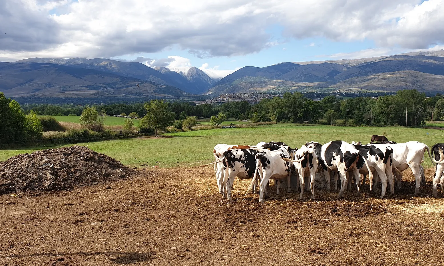 'El Planter' disposa d'un Observatori en el qual es pot extreure informació útil per a l'empresa agrícola.